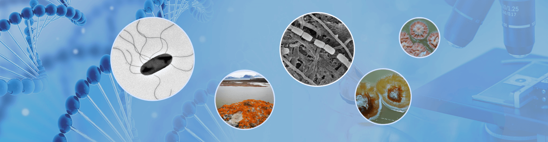 微生物菌种保藏技术 科技名词 什么是菌种保藏